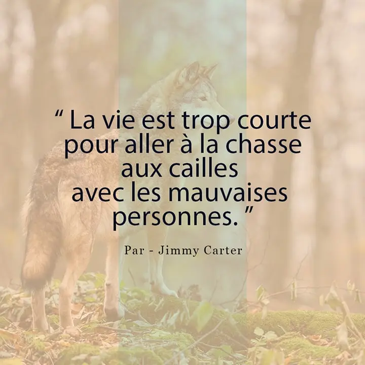 Phrase sur la vie