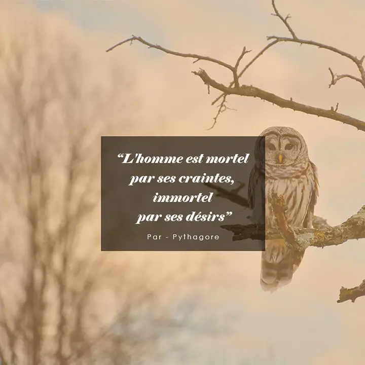 Citation philosophique sur le désir