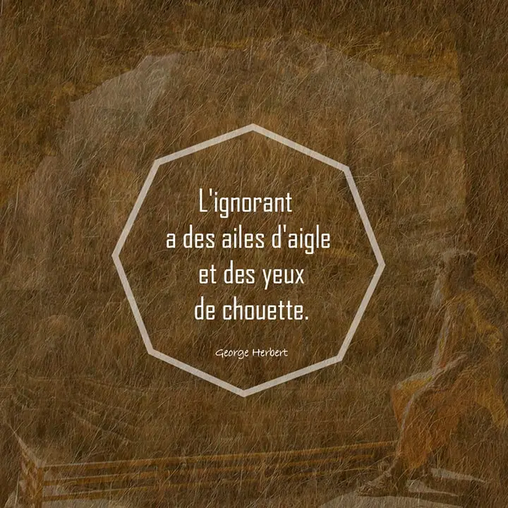 Citation sur l’ignorance