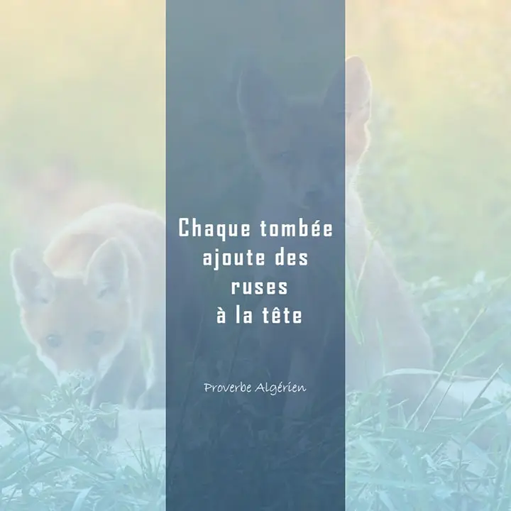 Proverbe apprendre de ses erreurs