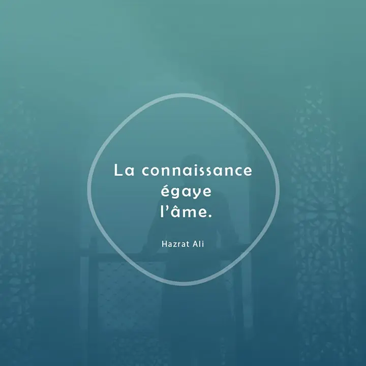 Citation sur la connaissance