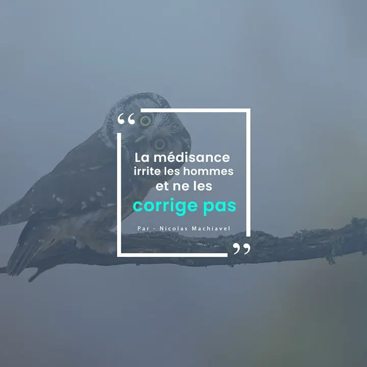 Citation sur la médisance