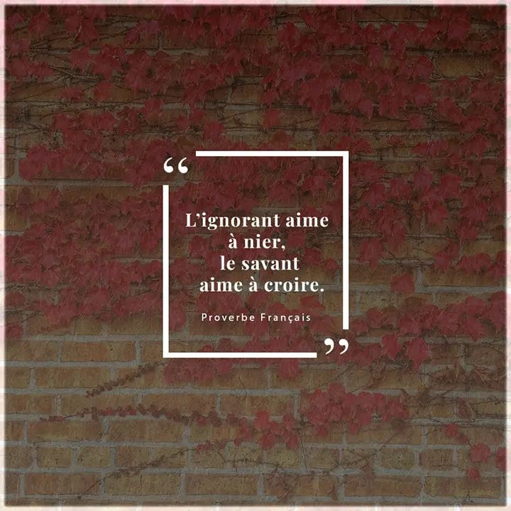 Proverbe sur l’ignorance